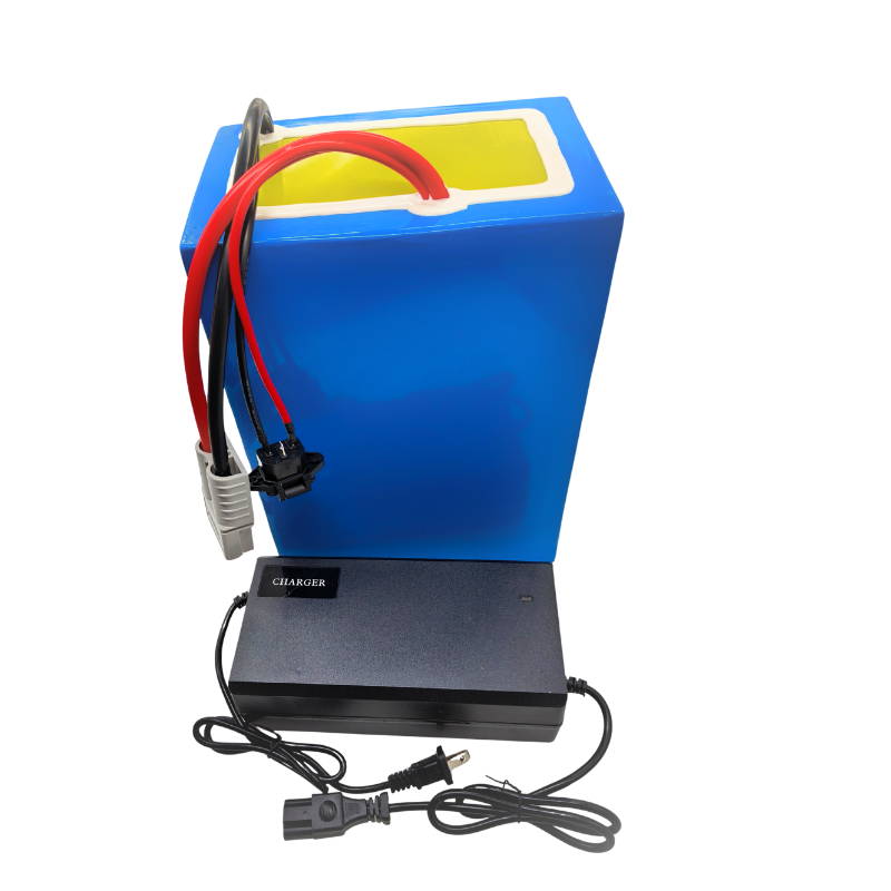72V 100Ah Li ion With ChargerB - огляд і ціна 72V 60Ah Lifepo4 Battery Pack